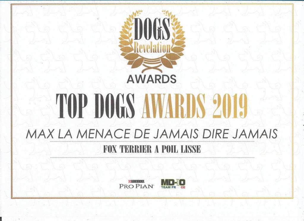 De La Terre De Chavals - DOGS REVELATION : TOP DOGS AWARDS  RESULTS 