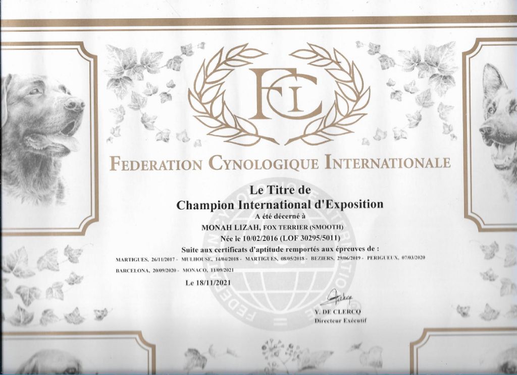 De La Terre De Chavals - HOMOLOGATION  DU TITRE DE CHAMPIONNE  INTERNATIONALE D'EXPOSITION 