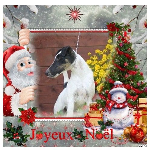 De La Terre De Chavals -                    .........JOYEUX NOEL 2020.........