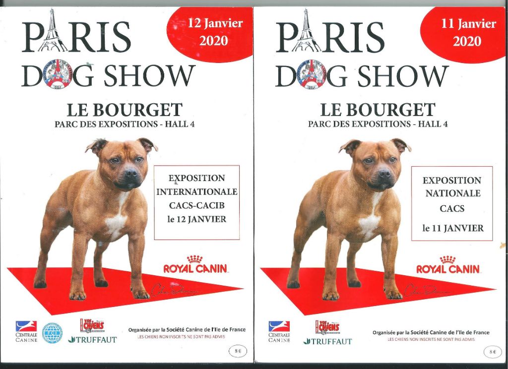 De La Terre De Chavals - PARIS DOG SHOW DU WEEK END DU 11 & 12 Janvier 2020.