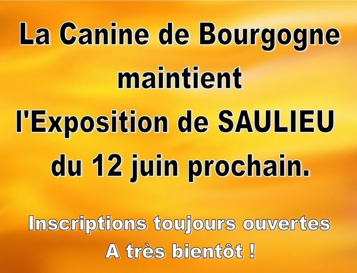 De La Terre De Chavals - EXPOSITION CANINE NATIONALE DE SAULIEU (ACT BOURGOGNE) SAULIEU (21) -