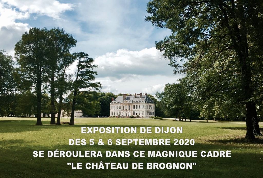 De La Terre De Chavals - EXPOSITION DIJON 2020 - CHANGEMENT DE LIEU