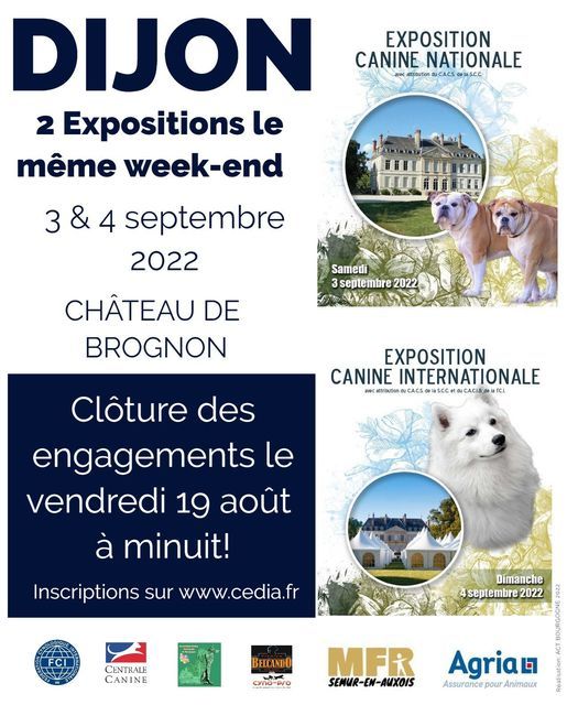 De La Terre De Chavals - Expositions Canines Nationale & Internationale de DIJON 21000.