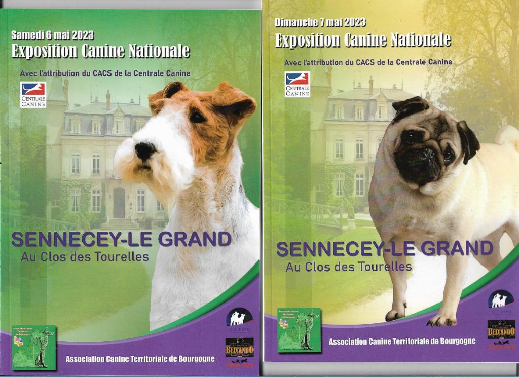 De La Terre De Chavals - DOUBLE CACS 71240 SENNECEY LE GRAND