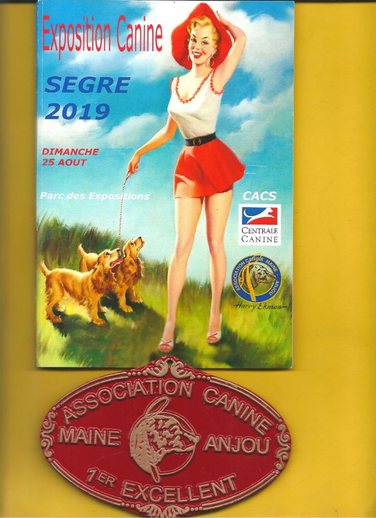 De La Terre De Chavals - Exposition Canine Nationale de SEGRE 49500.