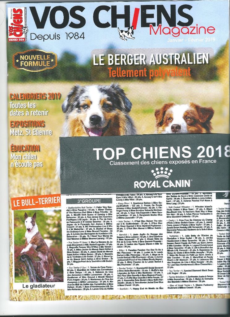 De La Terre De Chavals - VOS CHIENS : TOP CHIENS EN FRANCE 2018.