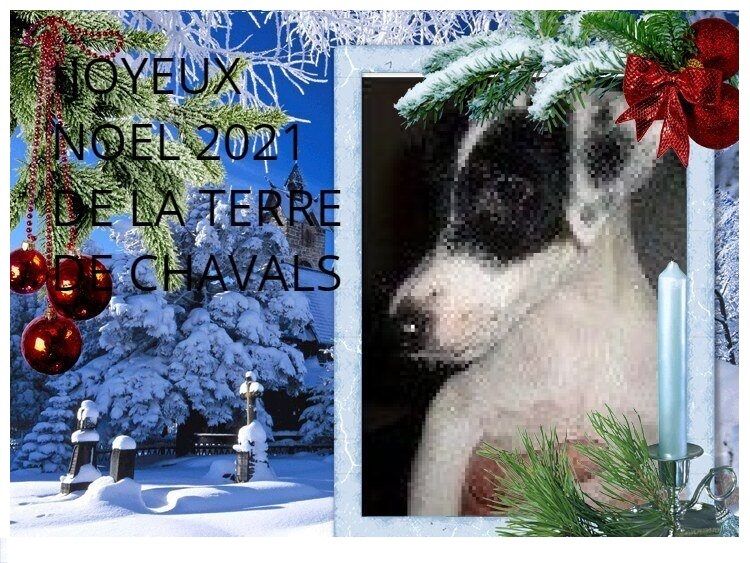 De La Terre De Chavals - JOYEUX NOEL 2021....................................................