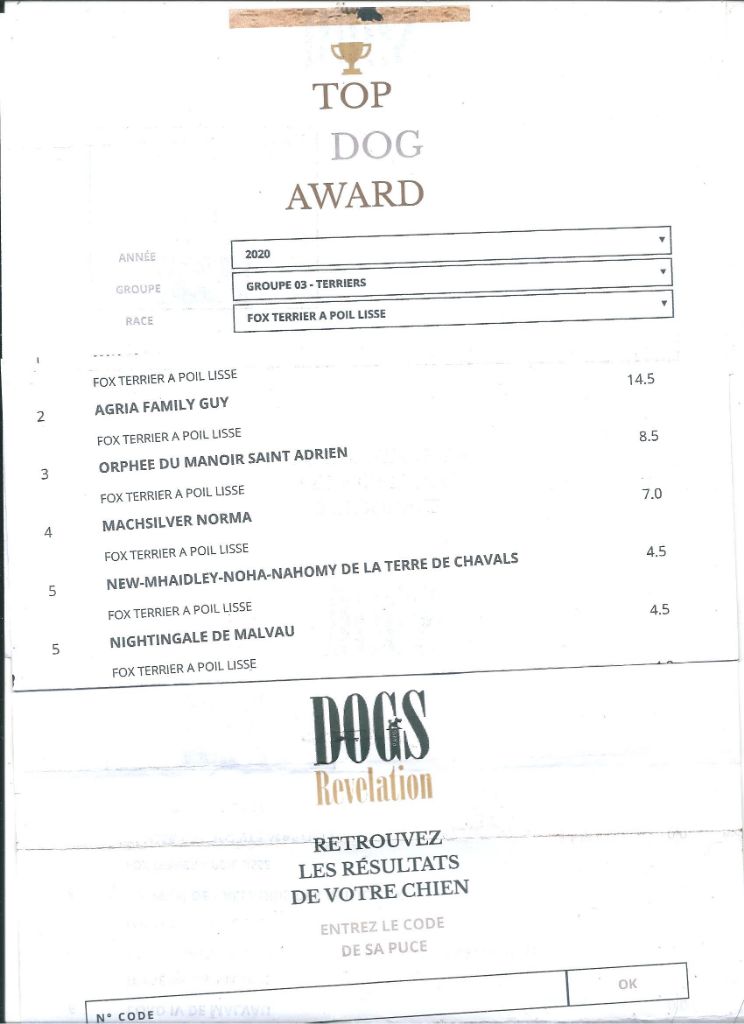 De La Terre De Chavals - CLASSEMENT TOP DOG AWARDS DOGS REVELATION.04/2020.