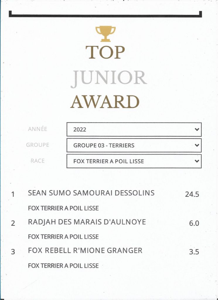 De La Terre De Chavals - INFORMATION TOP DOGS AWARDS JUNIOR DOGS REVELATION