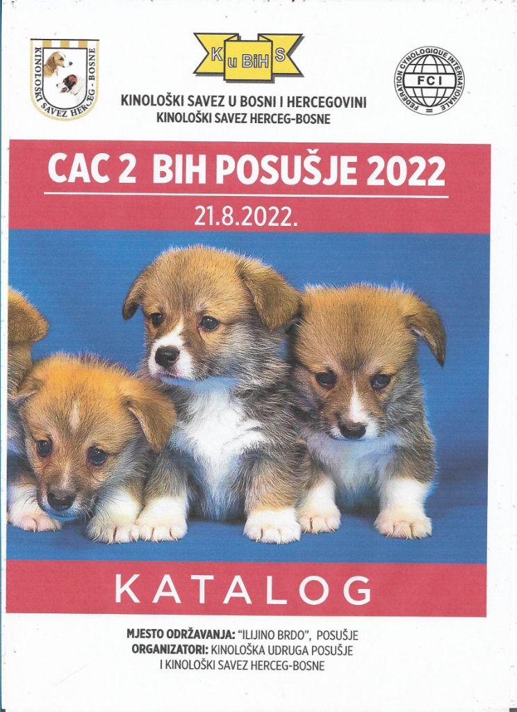 De La Terre De Chavals - Exposition Canine Nationale de POSUSJE -BIH-