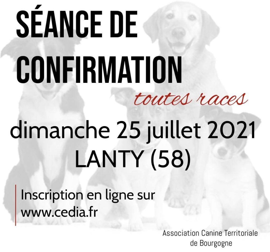 De La Terre De Chavals - SEANCE DE CONFIRMATION TOUTES RACES à LANTY 58.LE 25.07.2021.
