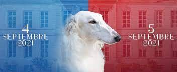De La Terre De Chavals - Exposition Canine  Internationale de BROGN0N 21490