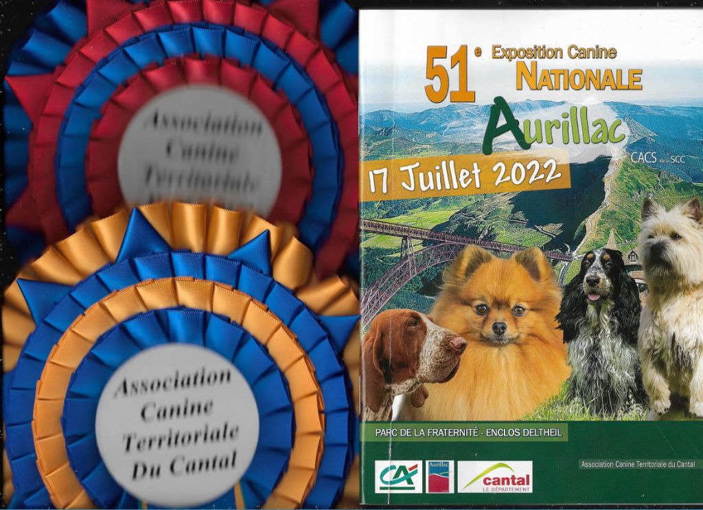 De La Terre De Chavals - Exposition Canine Nationale du  17/07/2022.