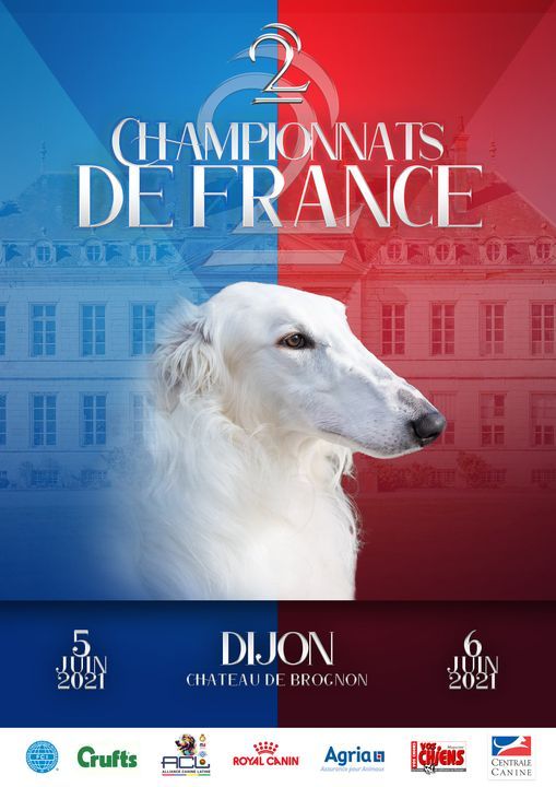 De La Terre De Chavals - COMMUNIQUE SCC CONCERNANT LE DOUBLE CHAMPIONNAT DE FRANCE 2021.
