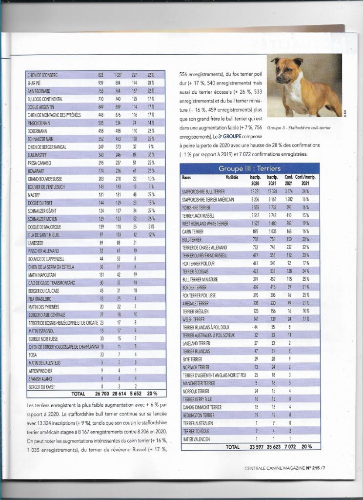 De La Terre De Chavals - Statistiques Société Centrale Canine GIII TERRIERS 2020/2021.