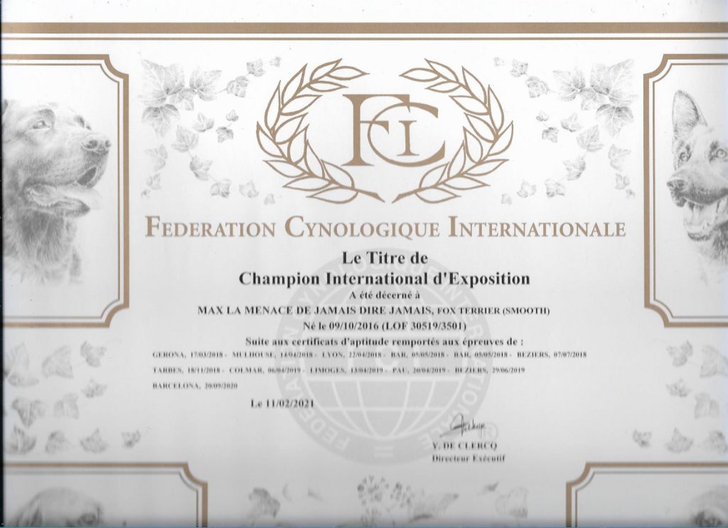 De La Terre De Chavals - HOMOLOGATION DU TITRE DE CHAMPION INTERNATIONAL D'EXPOSITION