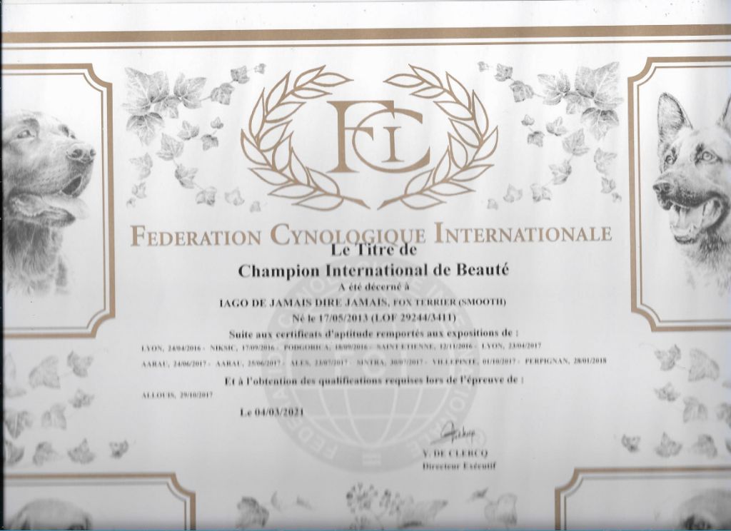 De La Terre De Chavals - HOMOLOGATION DU TITRE DE CHAMPION INTERNATIONAL  DE BEAUTE
