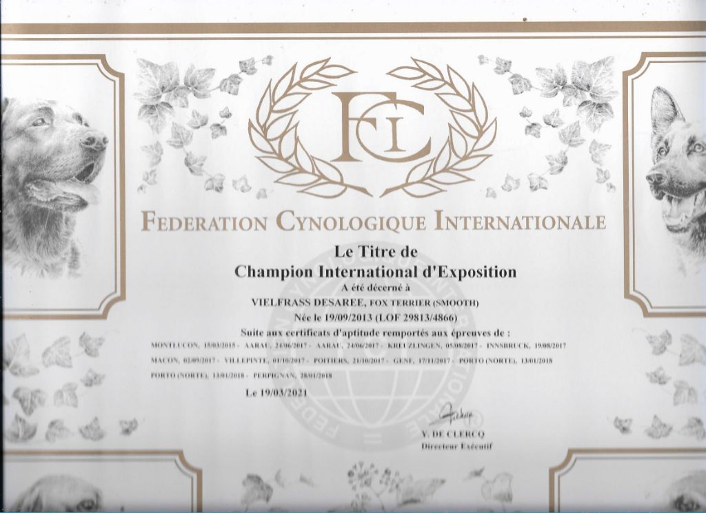 De La Terre De Chavals - HOMOLOGATION  DU TITRE DE CHAMPIONNE  INTERNATIONALE D'EXPOSITION 