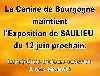  - EXPOSITION CANINE NATIONALE DE SAULIEU (ACT BOURGOGNE) SAULIEU (21) -