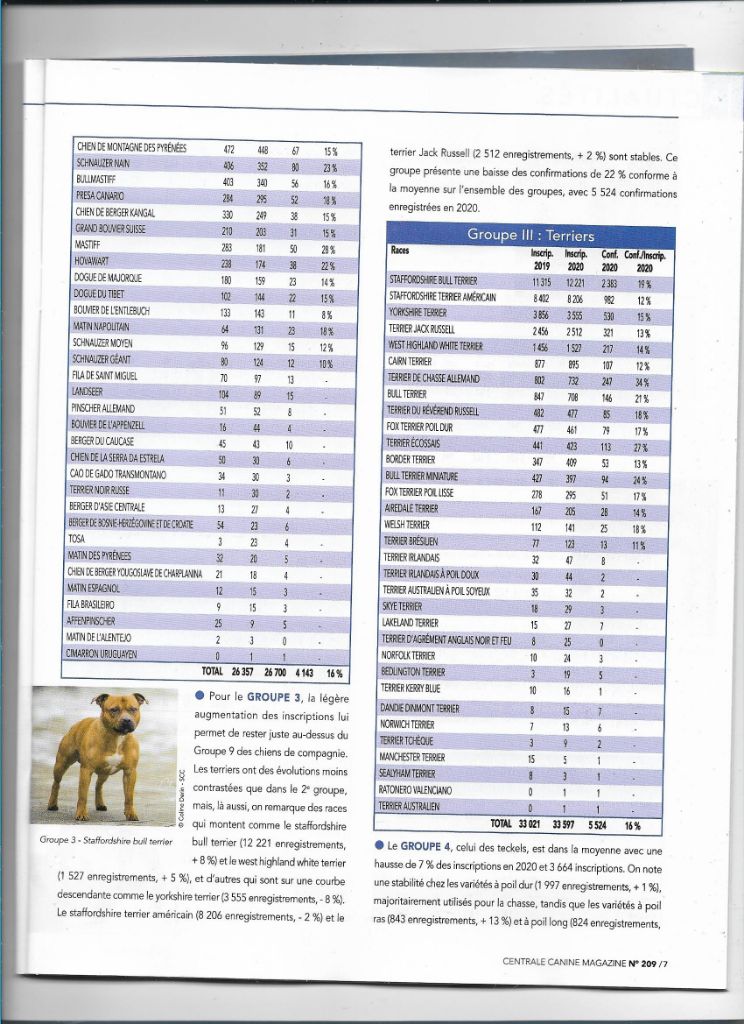 De La Terre De Chavals - S C C : INFORMATION DES INSCRIPTIONS AU L O F 2020.DES FOX TERRIERS .