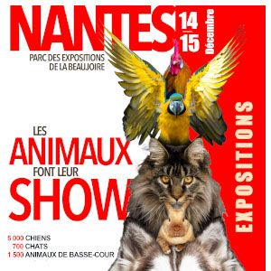 De La Terre De Chavals - EXPOSITIONS NATIONALE &  INTERNATIONALE  DE NANTES .43000..