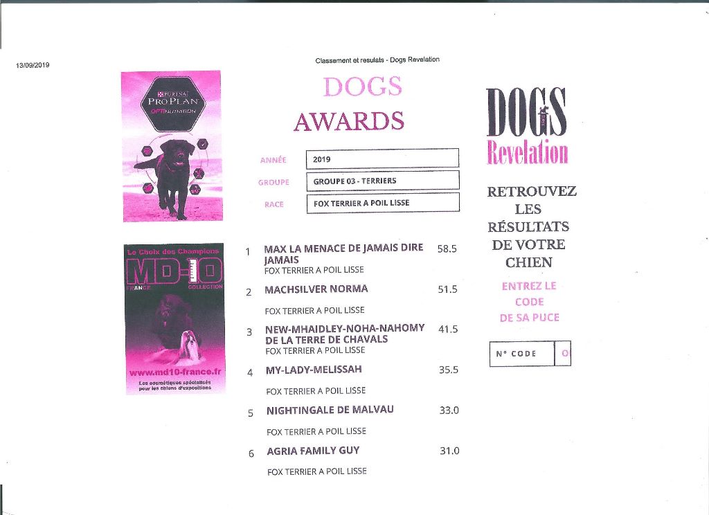 De La Terre De Chavals - TOP DOGS AWARDS DOGS REVELATION.