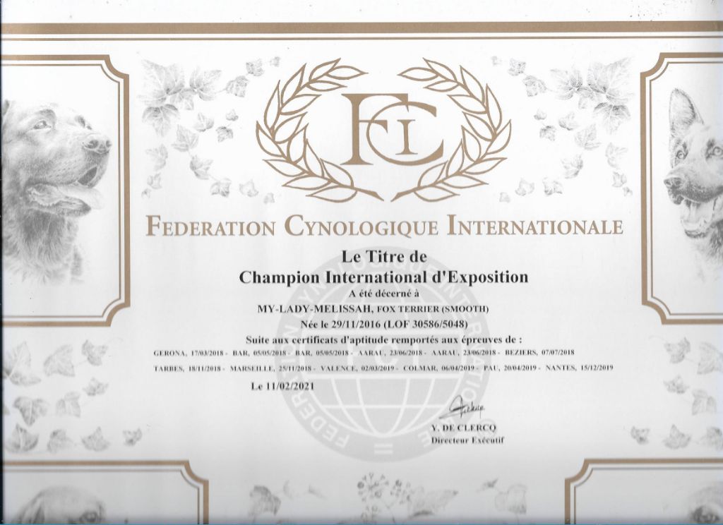 De La Terre De Chavals - HOMOLOGATION  DU TITRE DE CHAMPIONNE  INTERNATIONALE D'EXPOSITION 
