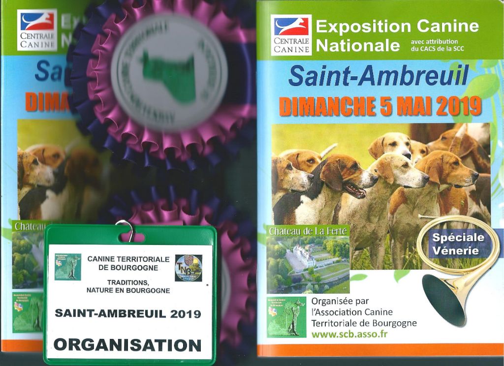 De La Terre De Chavals - Exposition Canine Nationale de LA FERTE - SAINT AMBREUIL 71240 -.