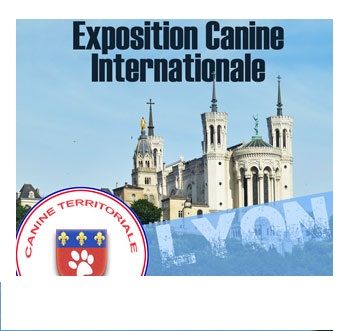 De La Terre De Chavals - Exposition  Canine  Internationale de LYON CHASSIEU 69680.