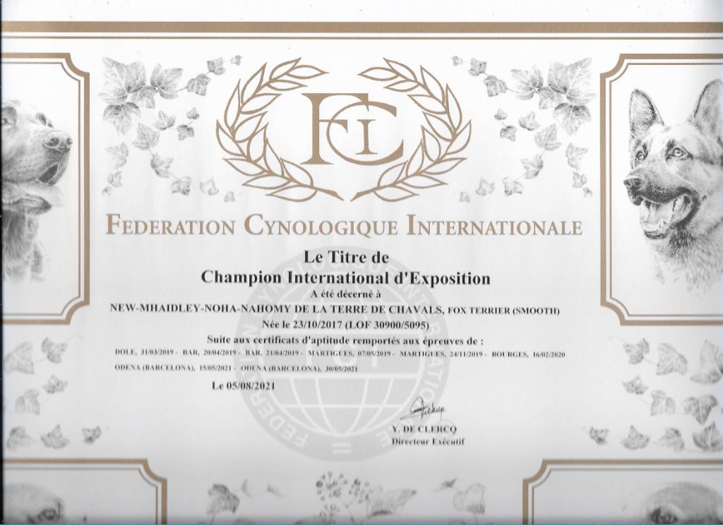 De La Terre De Chavals - HOMOLOGATION DU TITRE DE CHAMPION INTERNATIONAL D'EXPOSITION