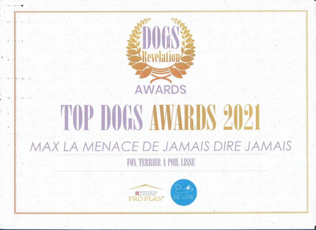 De La Terre De Chavals - TOP DOGS AWARDS 2021. DOG REVELATION