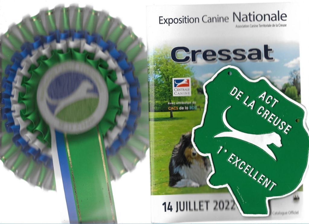 De La Terre De Chavals - Exposition Canine Nationale du  14/07/2022.