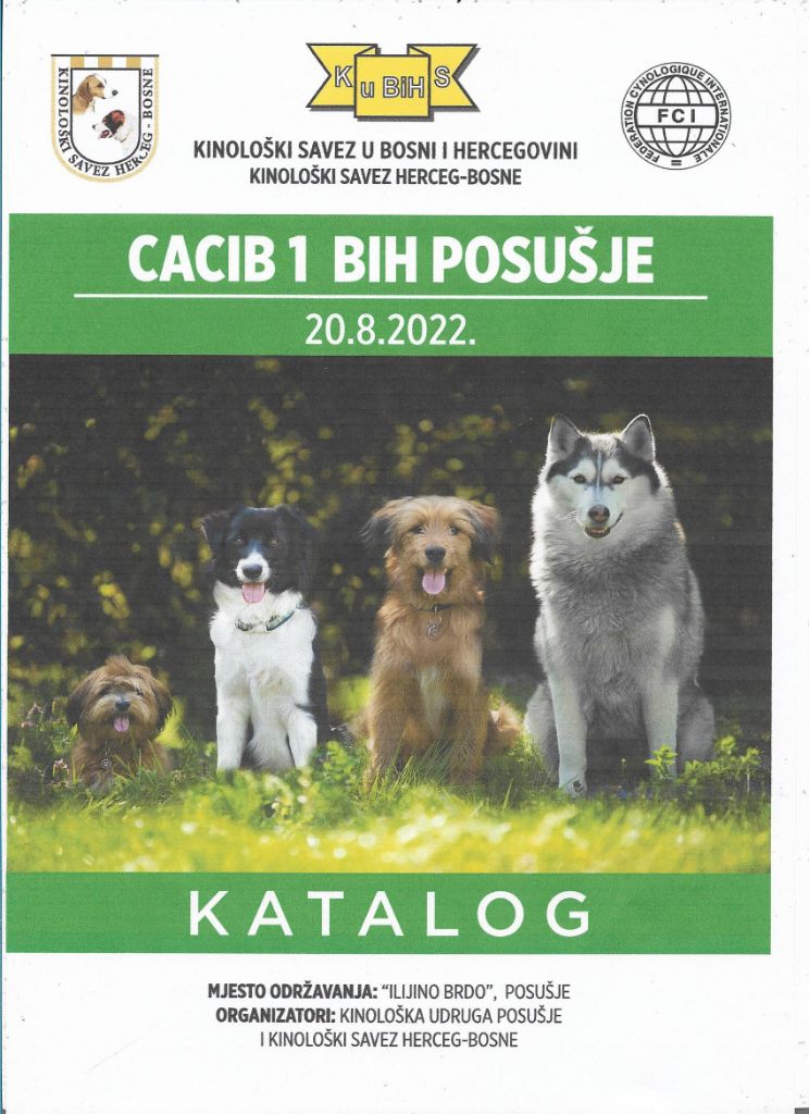 De La Terre De Chavals - Exposition Canine  Internationale de POSUSJE - BIH -